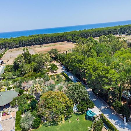 Bio Agriturismo Salos Алимини Екстериор снимка