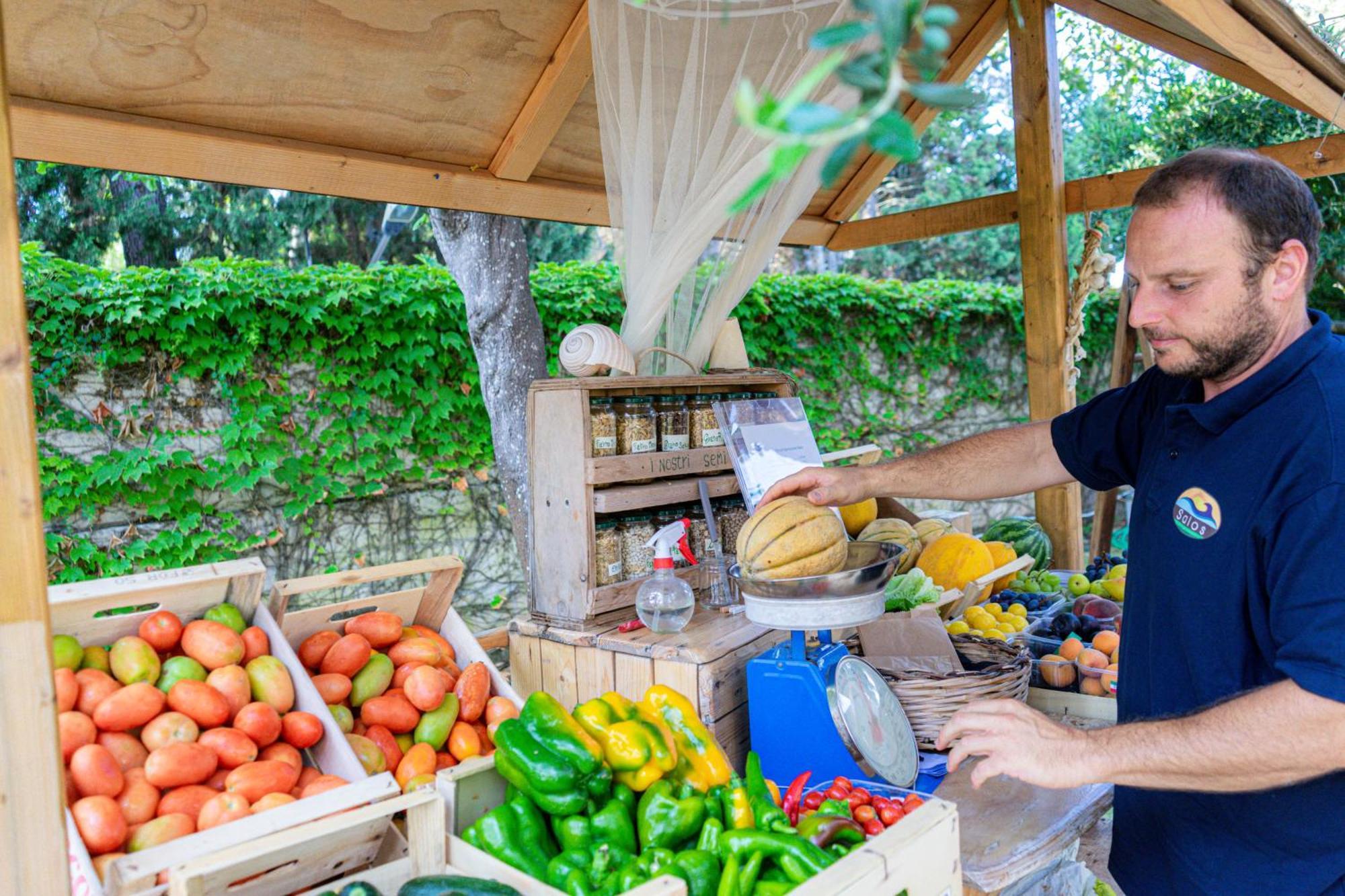 Bio Agriturismo Salos Алимини Екстериор снимка