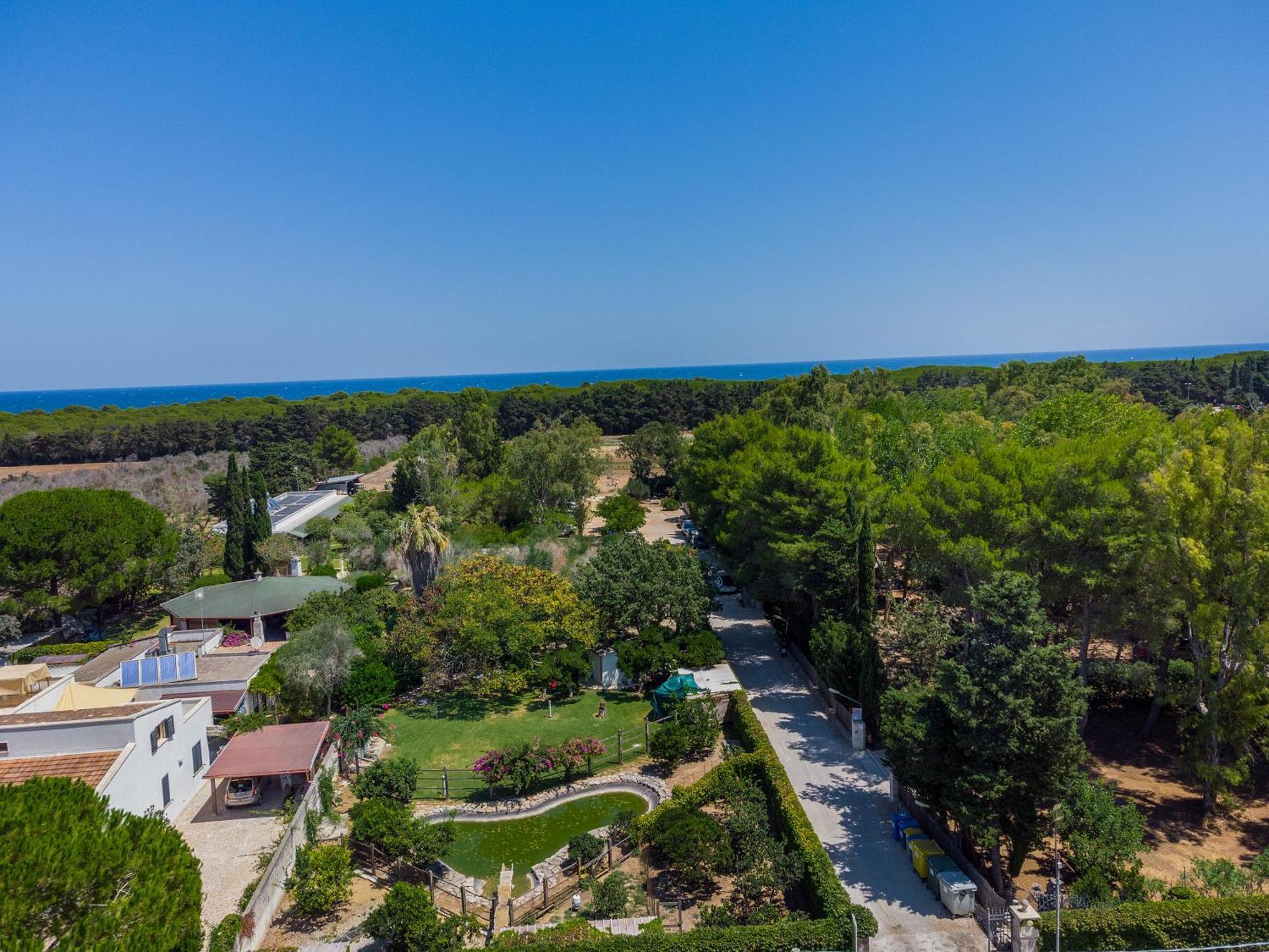 Bio Agriturismo Salos Алимини Екстериор снимка