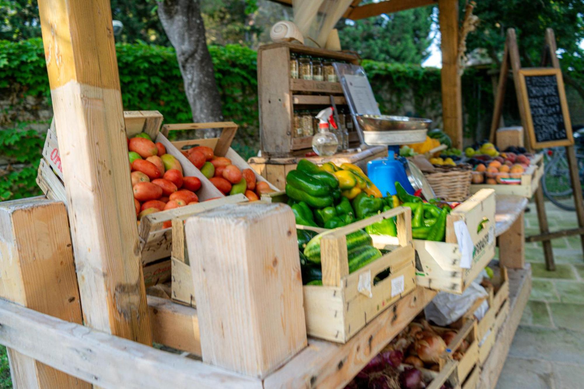 Bio Agriturismo Salos Алимини Екстериор снимка