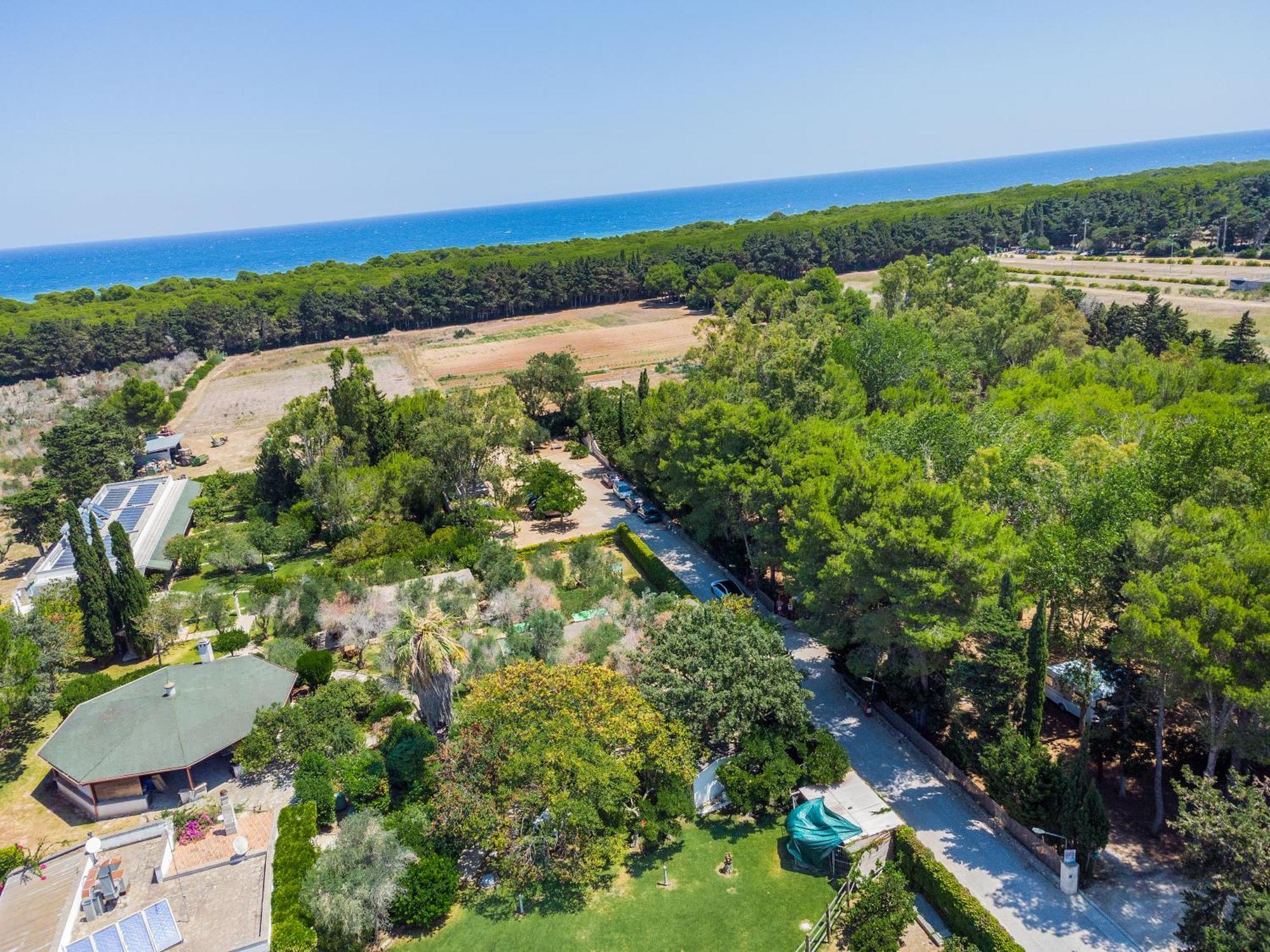 Bio Agriturismo Salos Алимини Екстериор снимка