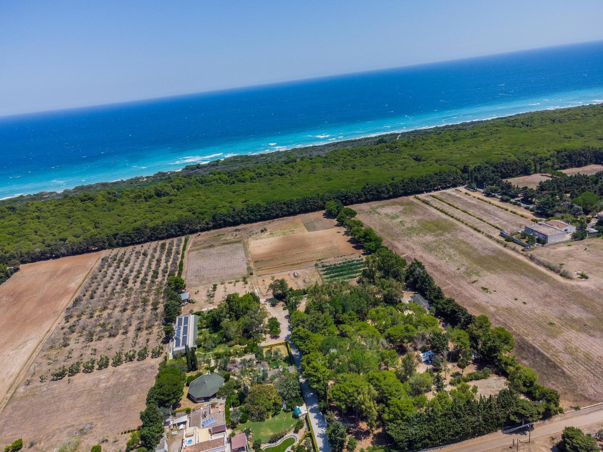 Bio Agriturismo Salos Алимини Екстериор снимка
